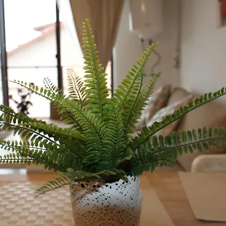 דירה Apartament Mamaia Nord *